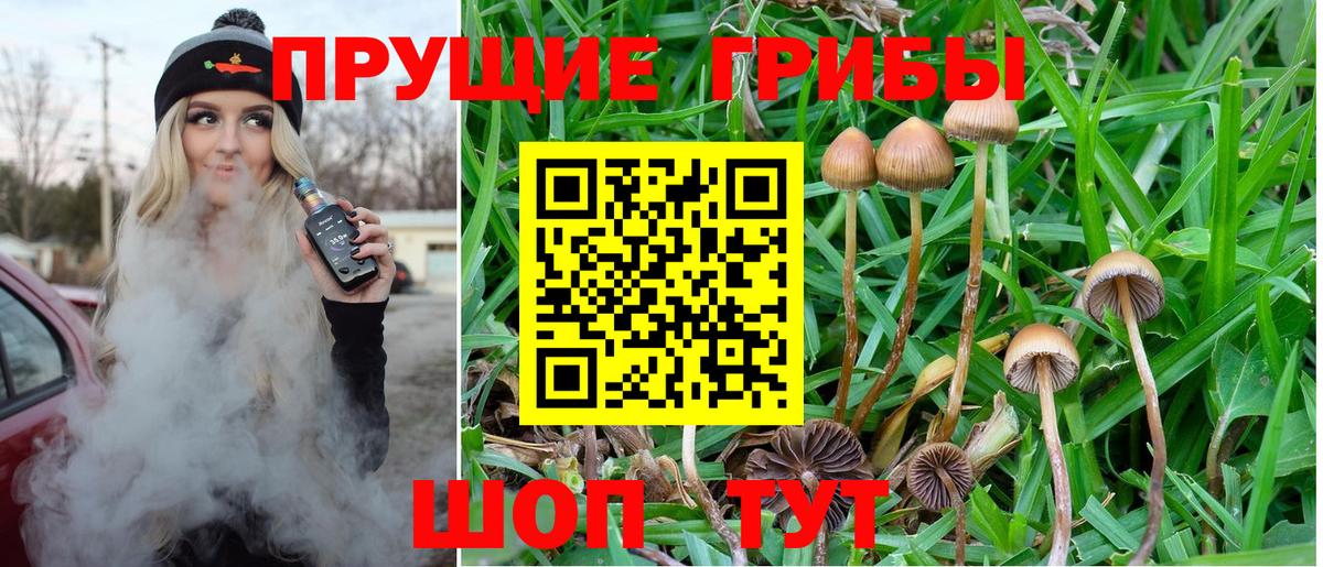 Галлюциногенные грибы GOLDEN TEACHER  дарнет шоп  Волгоград  Вход с VPN 