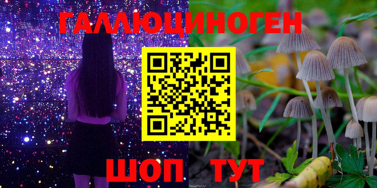 Псилоцибиновые грибы Psilocybe Волгоград